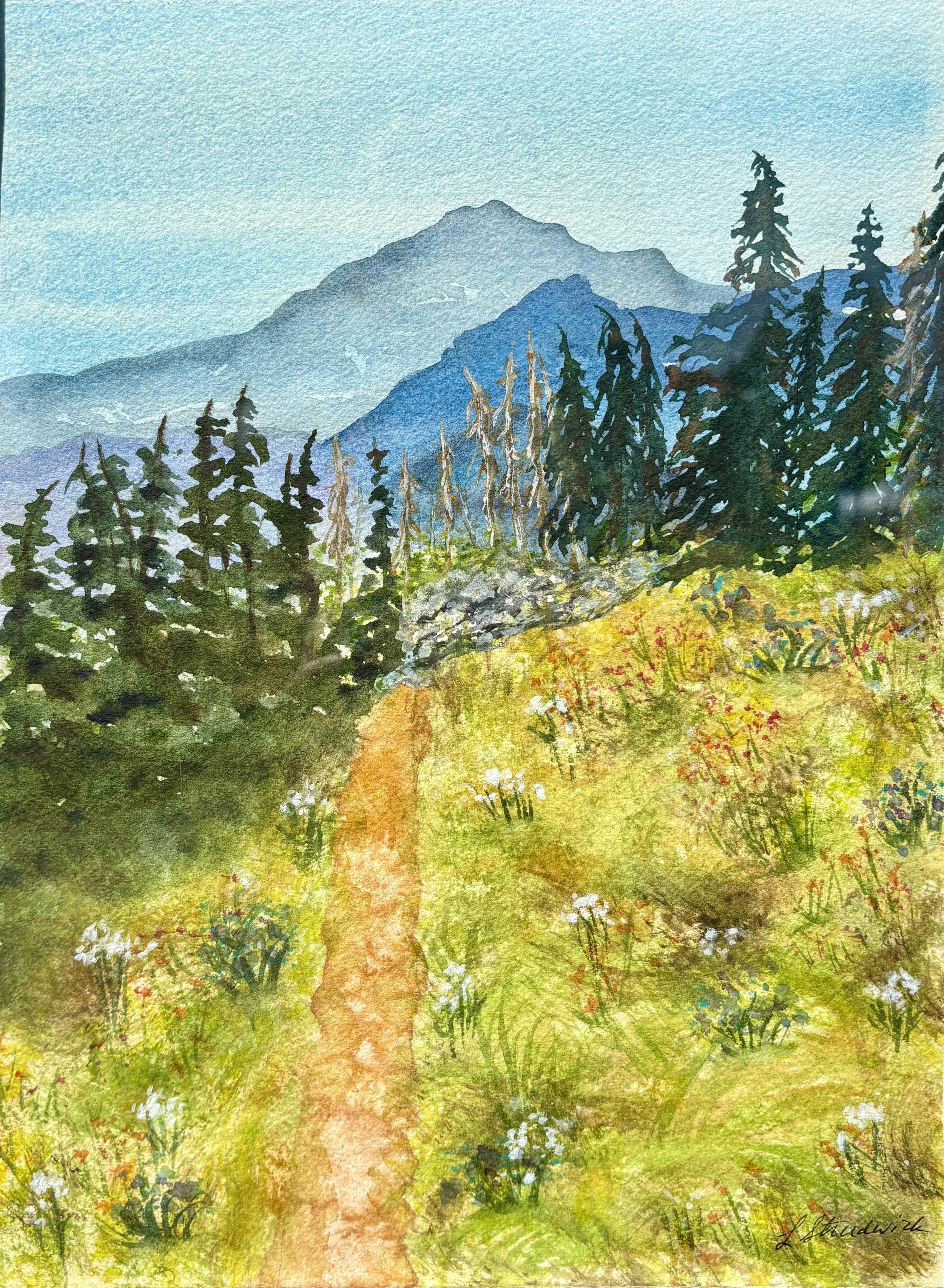 Timberline Trail watercolor.JPG