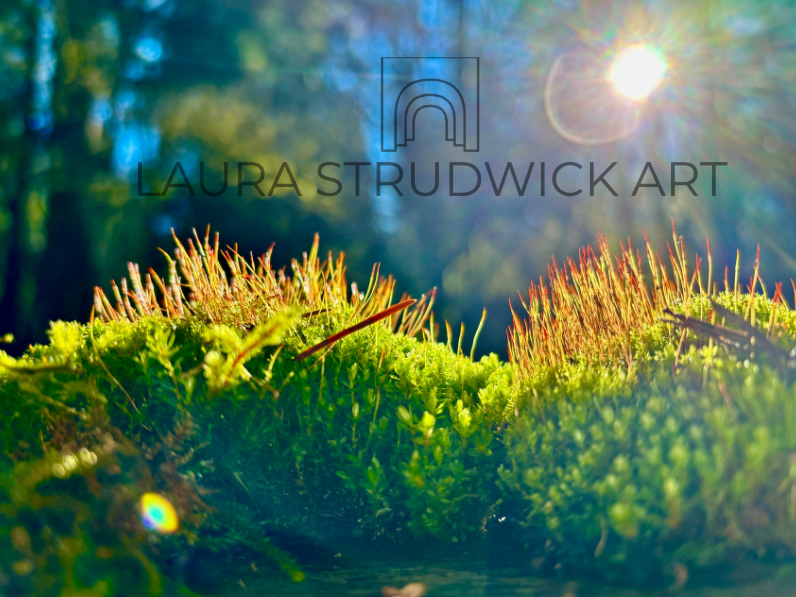 Magical Moss watermark.png