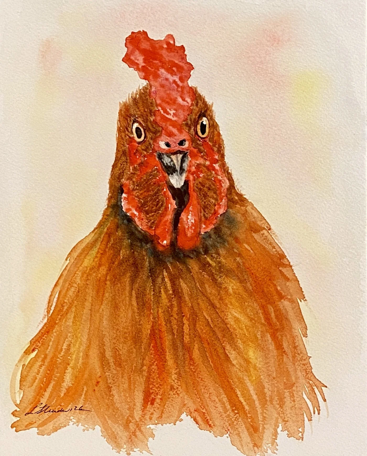 Rooster staring at you