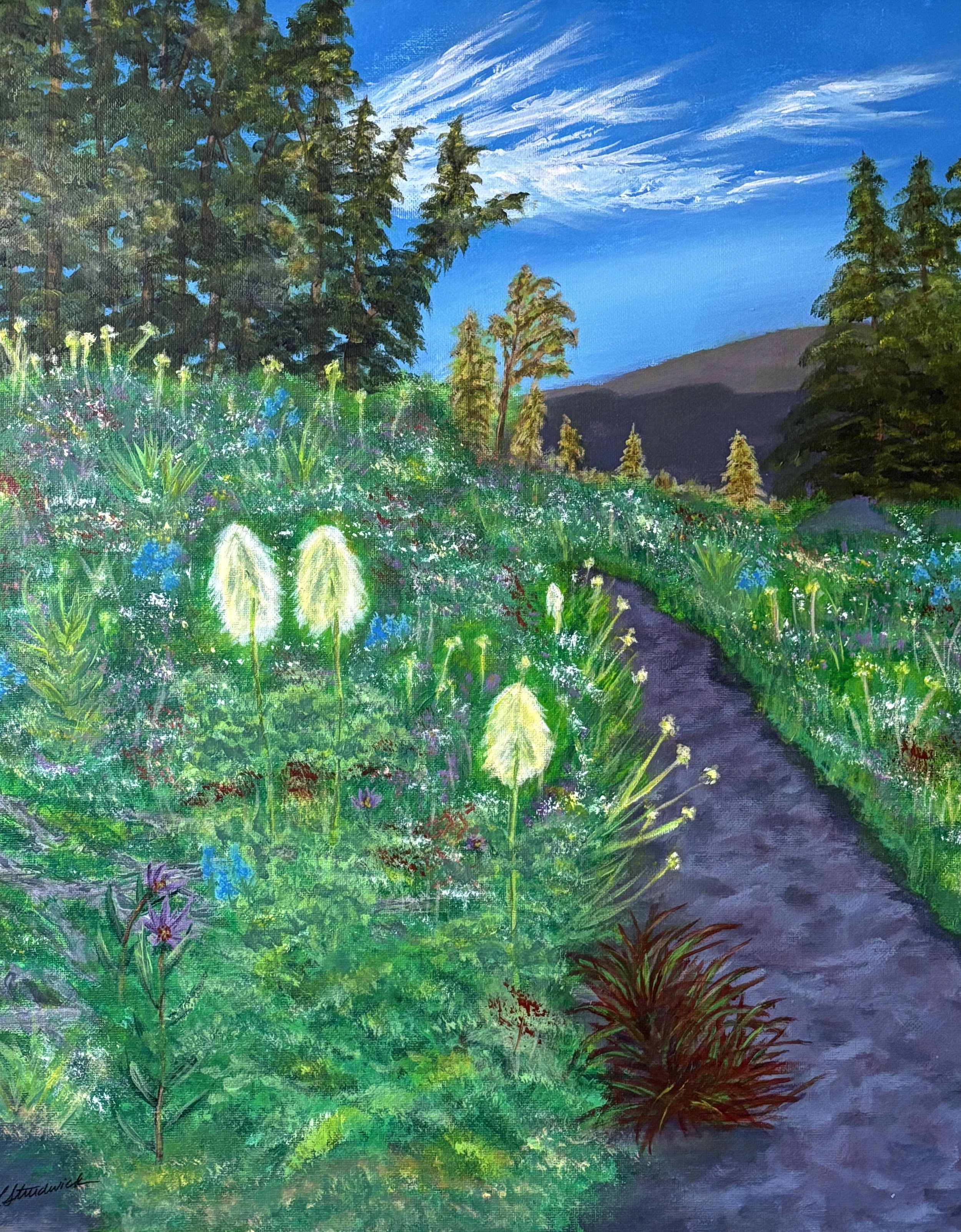Wildflowers on Mt. Hood on with trail leading into distant hills with blue sky and clouds and sunlit trees in background