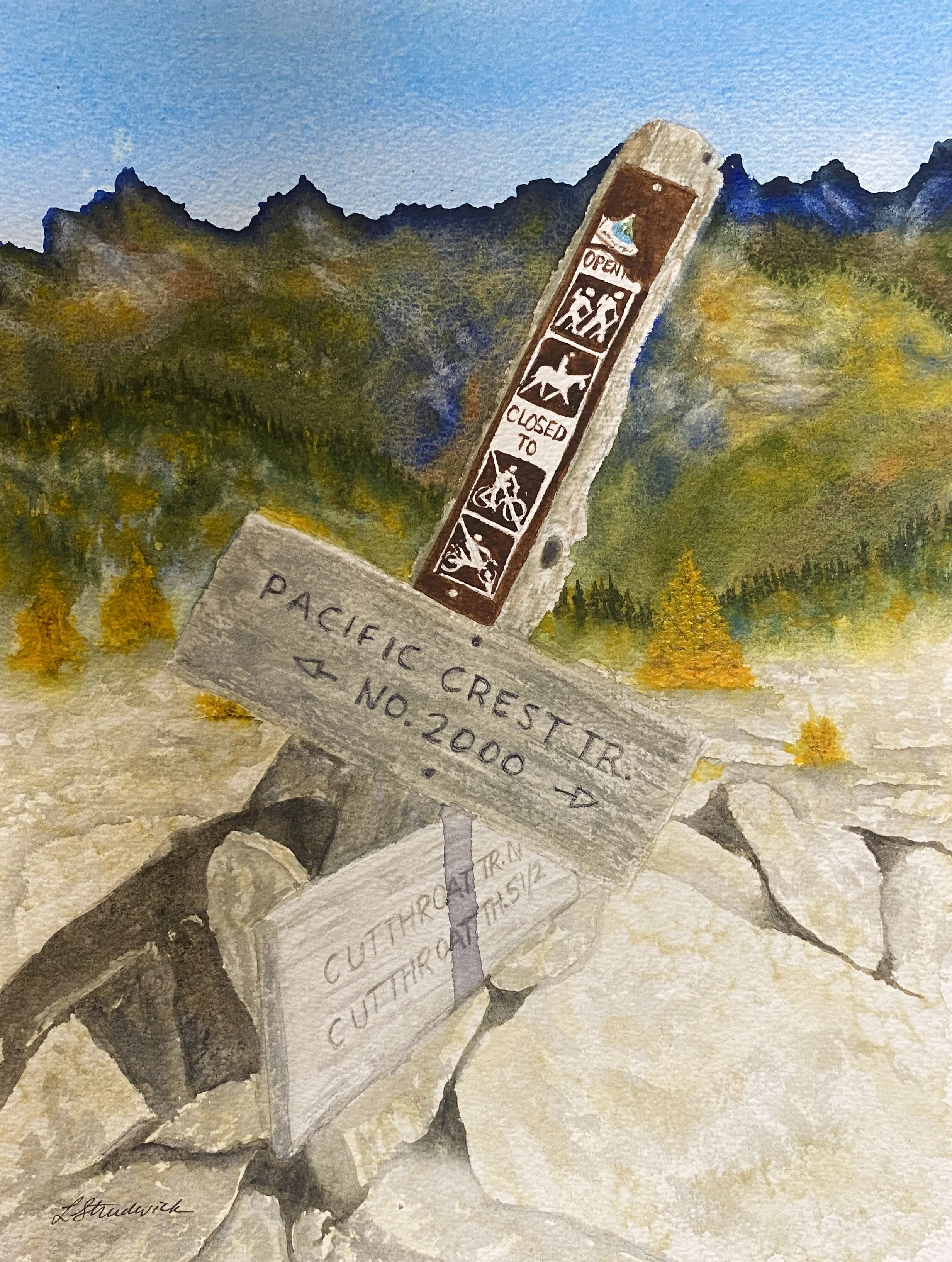 Pacific Crest Trail sign close-up with mountains