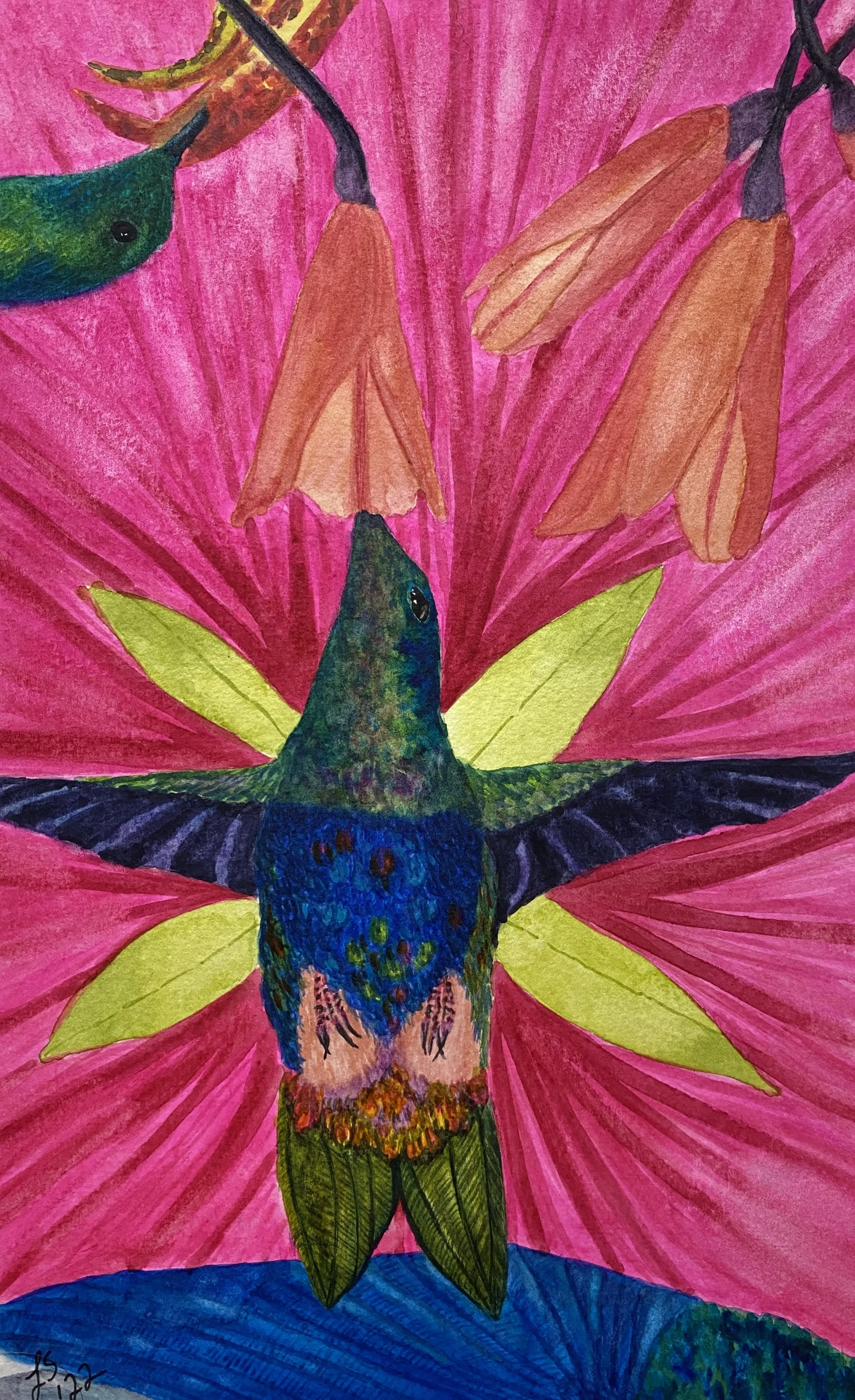 two hummingbirds against hot pink flower
