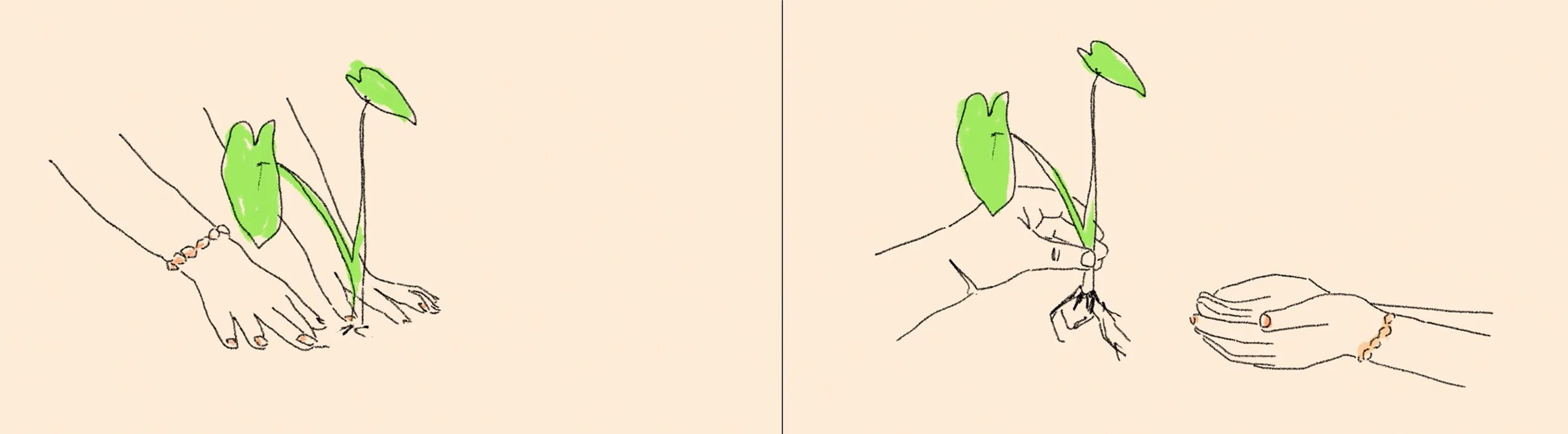 jade_stills1.jpg