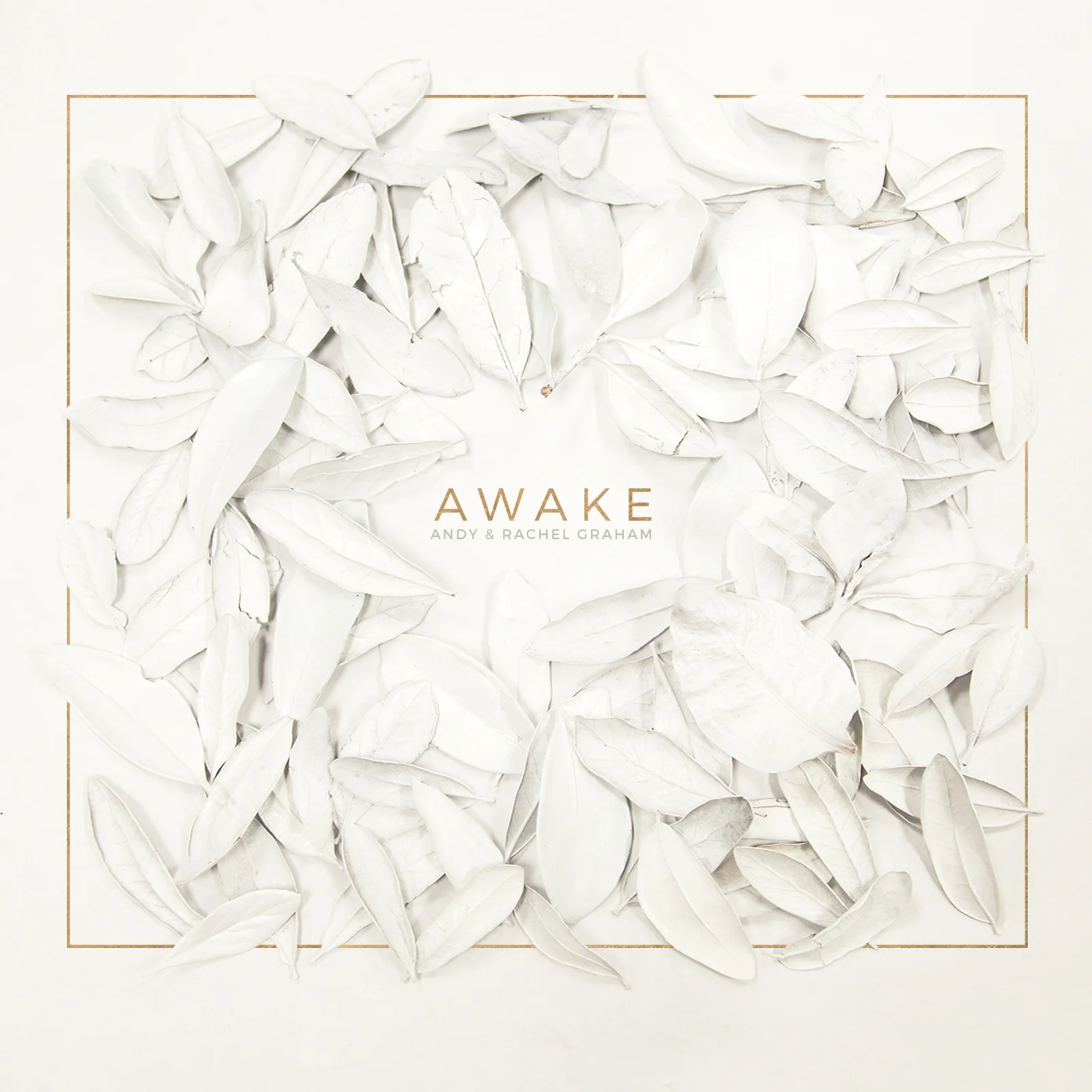 AWAKE_ITUNES.jpg
