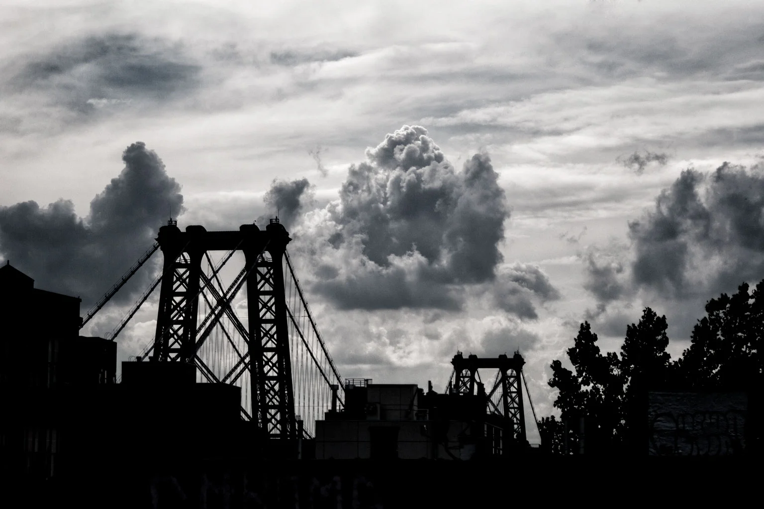 The view from my window, here in Brooklyn,