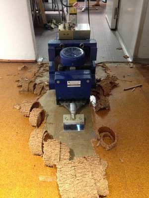 Tips For Replacing Flooring