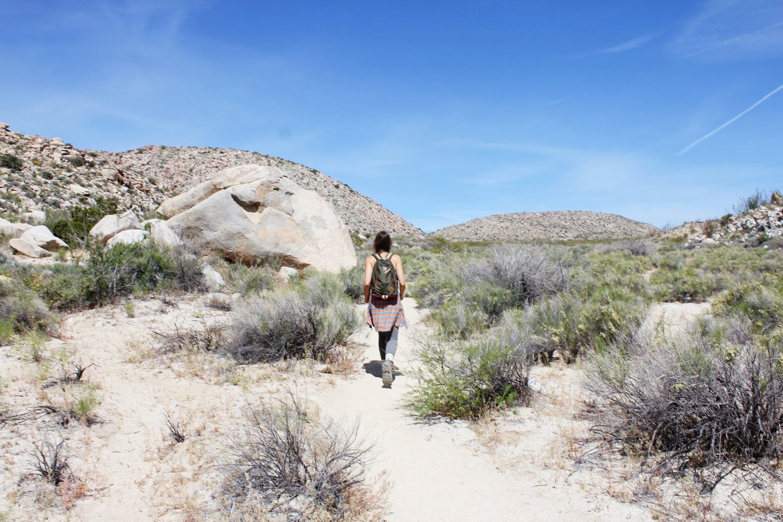 Get Outside | 24 Hours in Anza-Borrego State Park