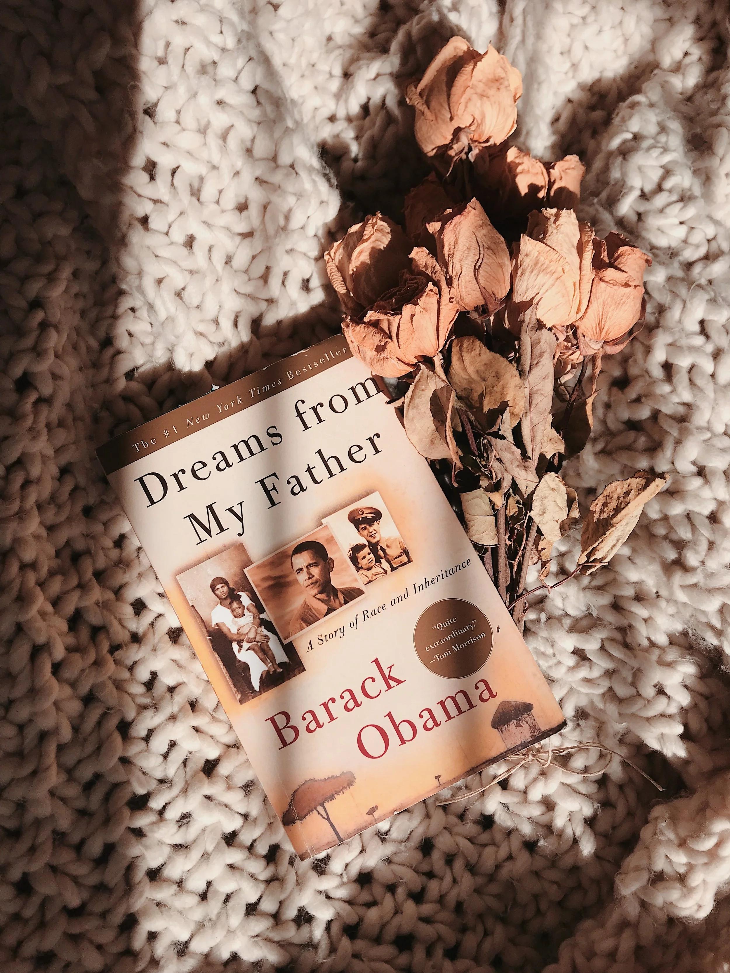 Dreams From My Father