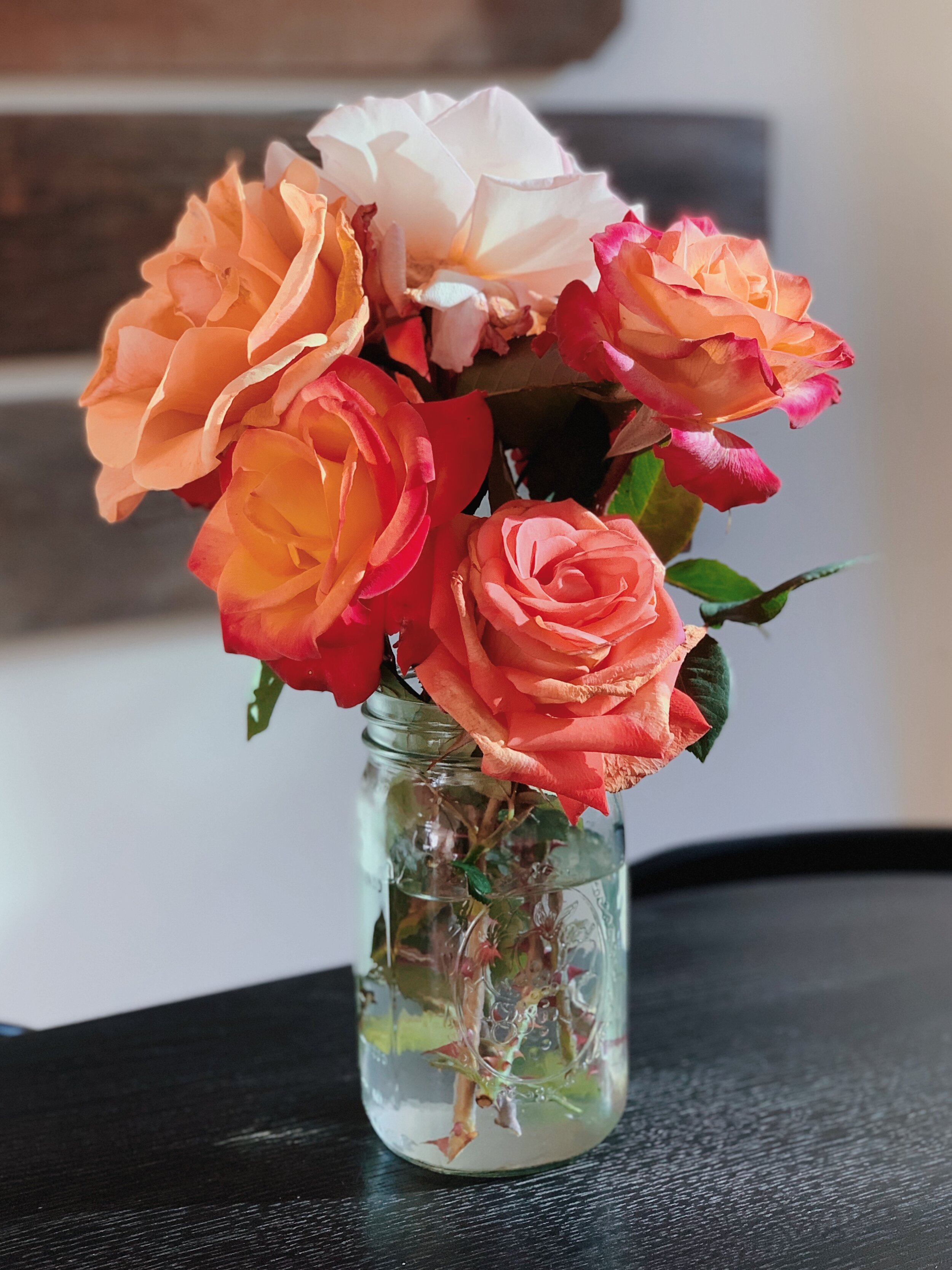 Dear Coco: Revelations During Quarantine