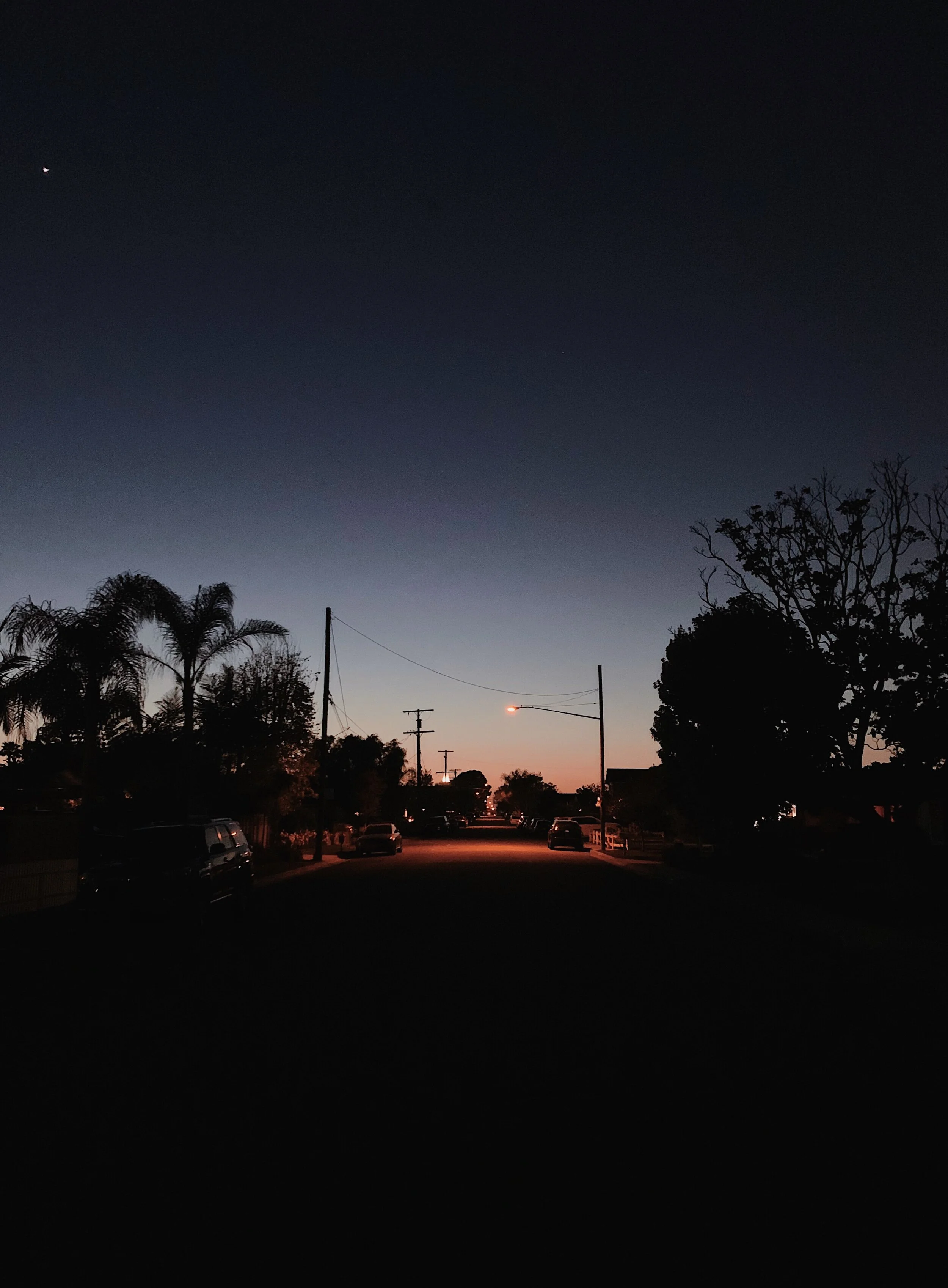 Dear Coco: Familiar Streets During Quarantine