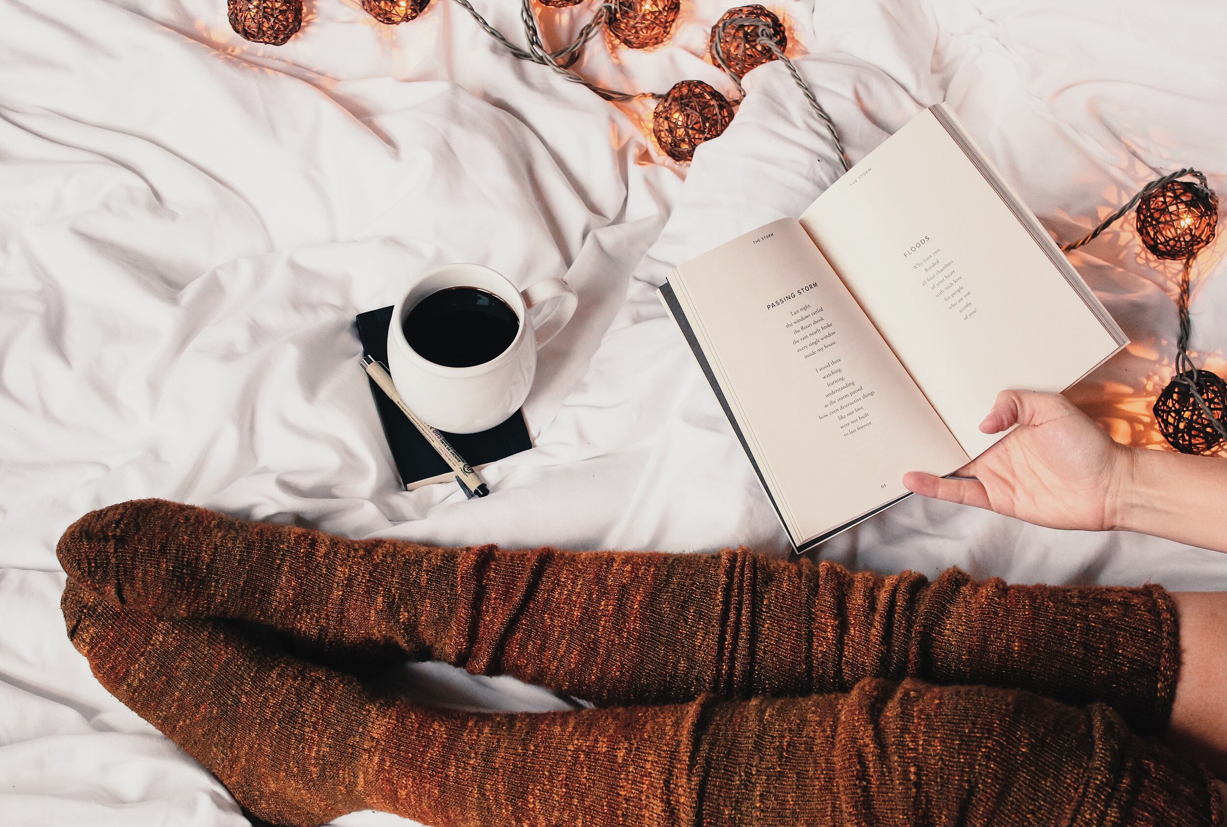 Cozy Books for Winter Reading — Jamie Alcorn