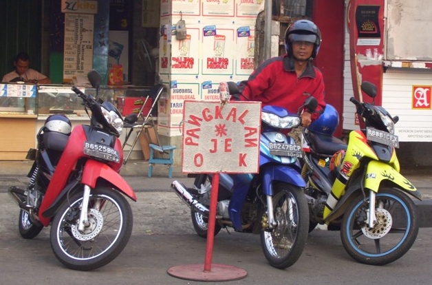  I provide for   Self Employment     