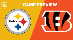nfl-beangles-vs-steelers.jpg