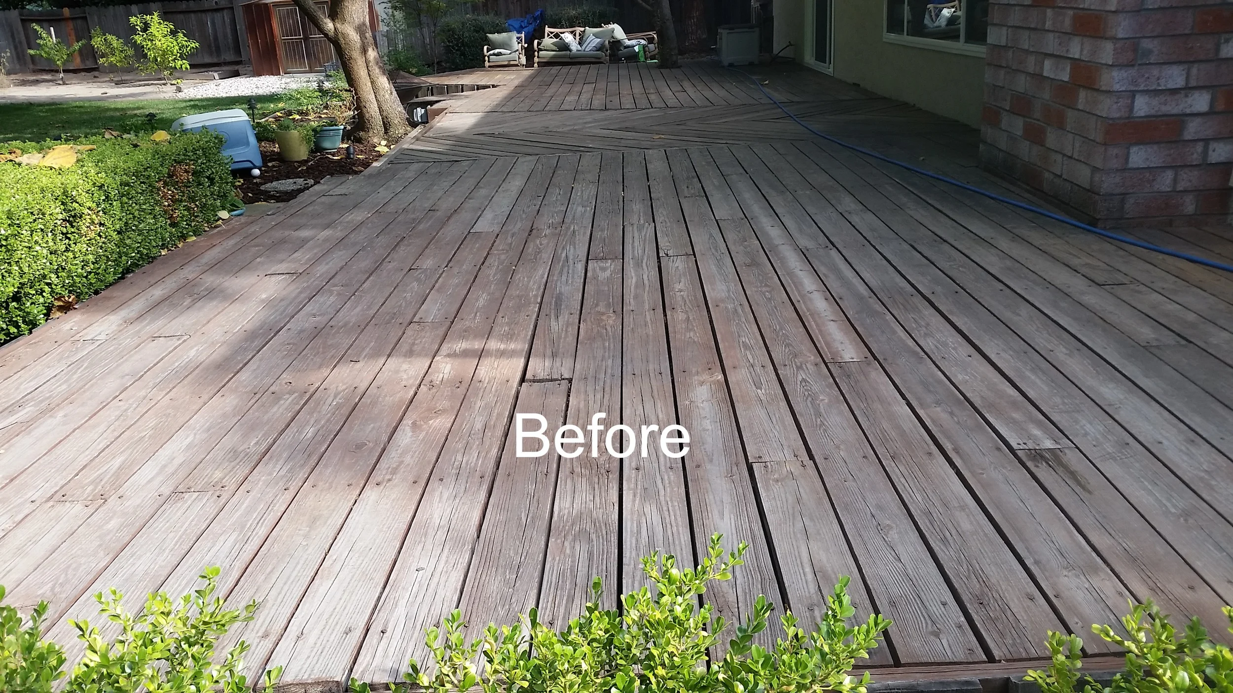 Before-Cedar.jpg