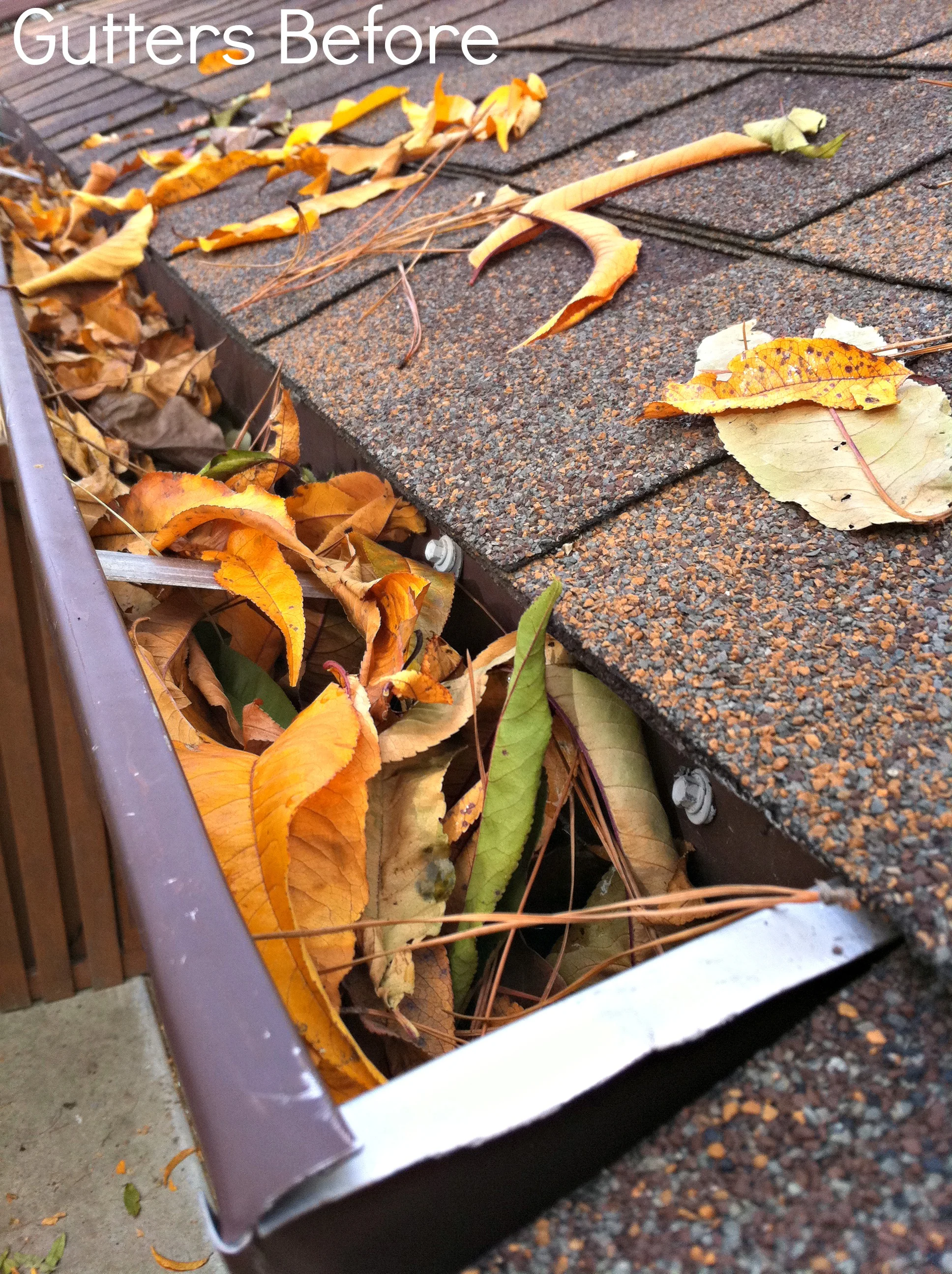 1 Gutter Before.jpg