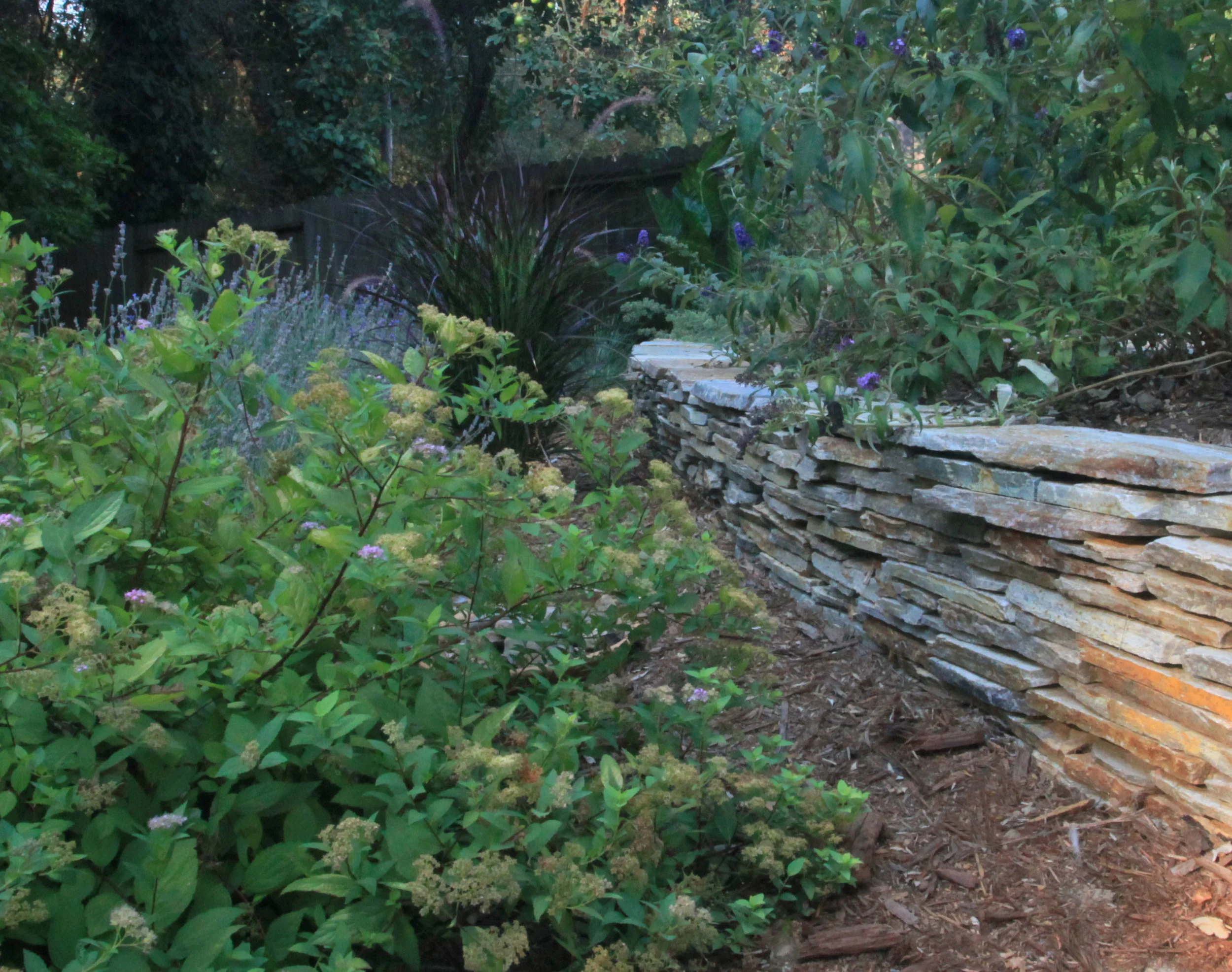 BOX_retaining wall.jpg