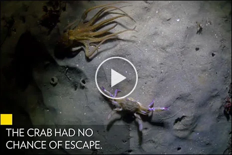 Nat Geo Main Account