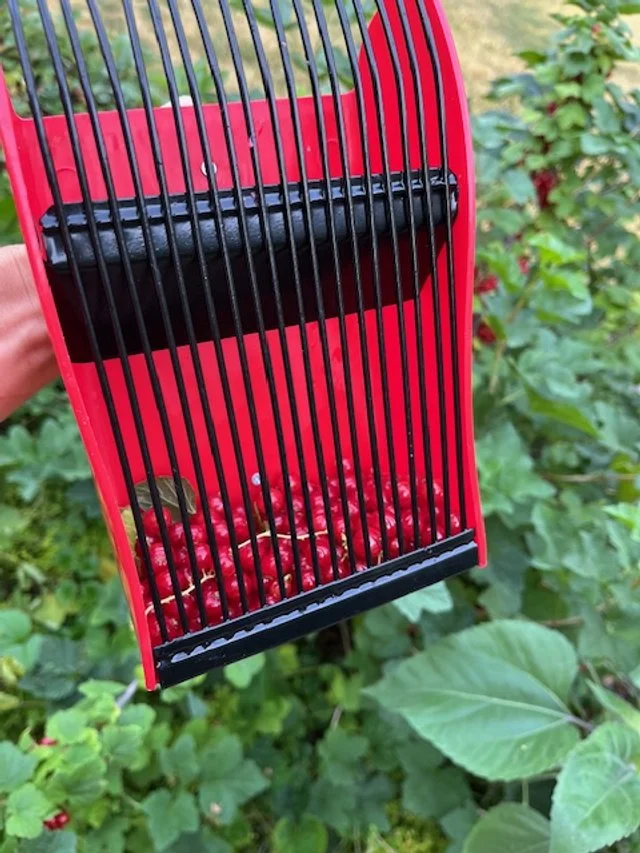Harvest Rake Best Gifts for Gardeners - Favorite Gift Ideas for Gardeners — Daily ...