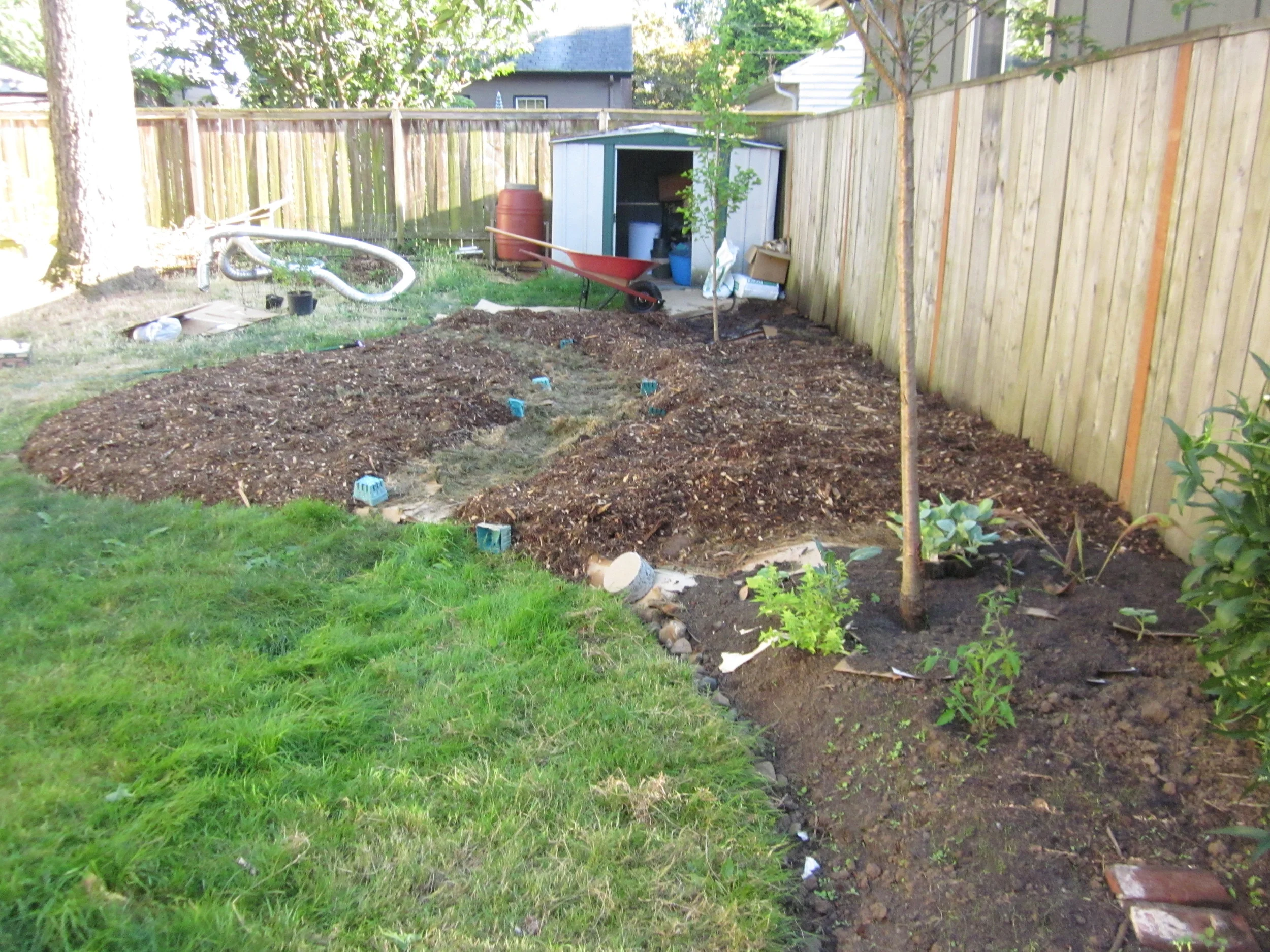 sheetmulchinggarden.jpg