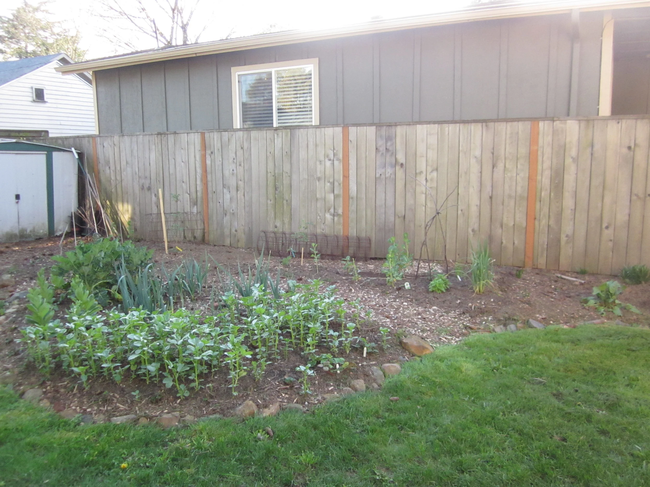 plantedveggiegarden.jpg
