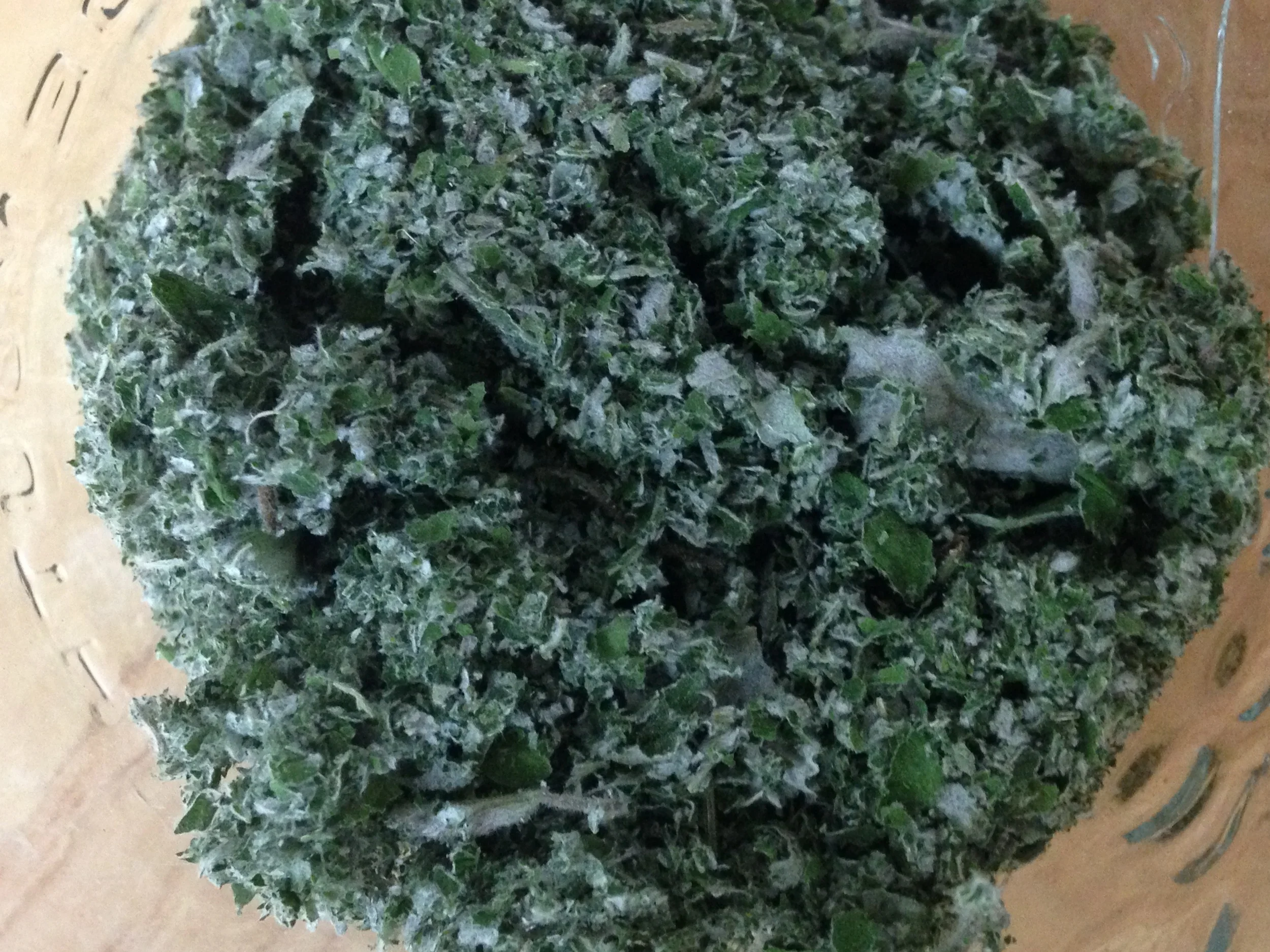 groundraspberryleaf.jpg