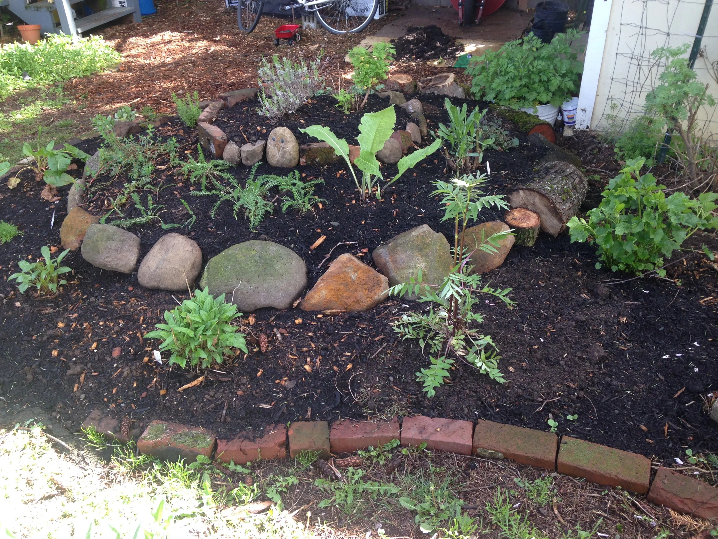 plantedherbspiral.jpg