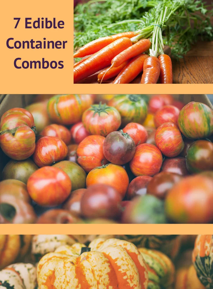 7-Container-Combos.jpg