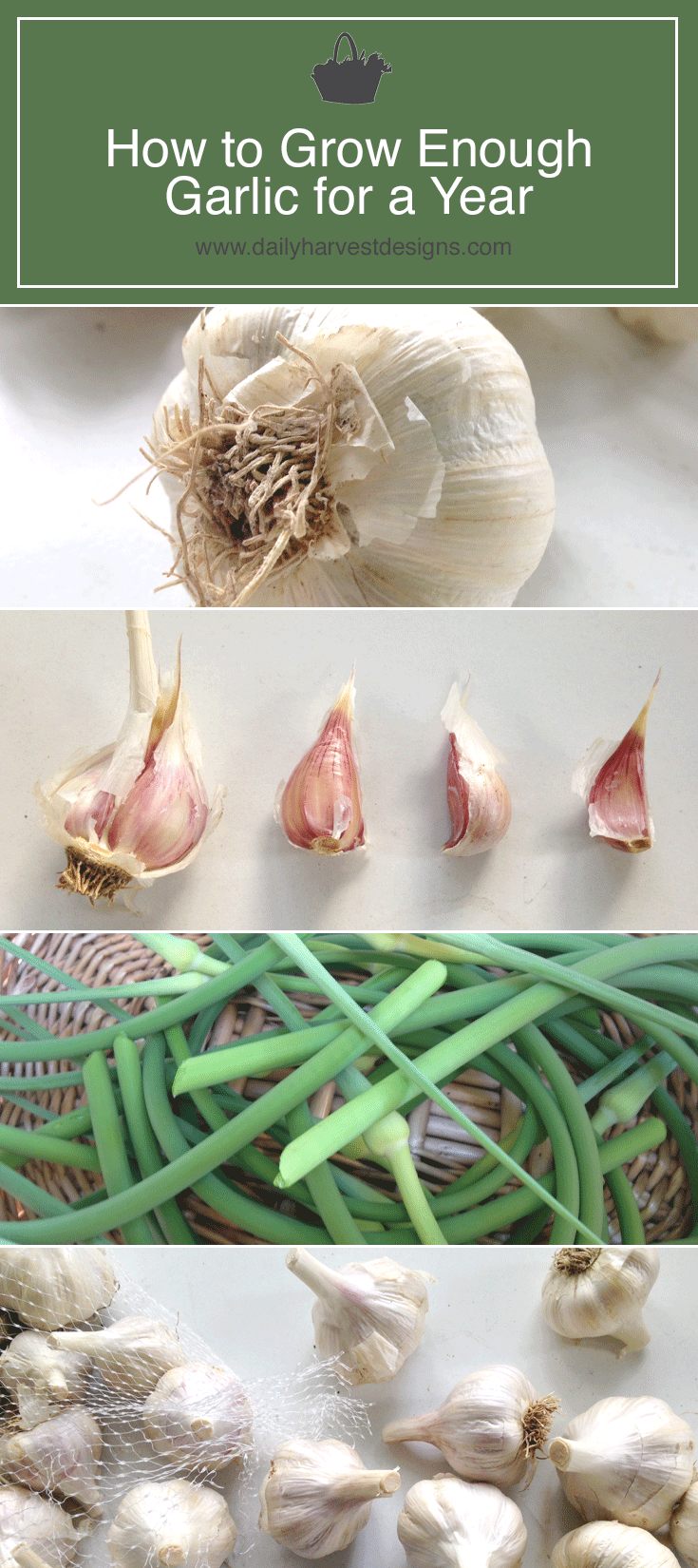 Garlic-for-a-year.png