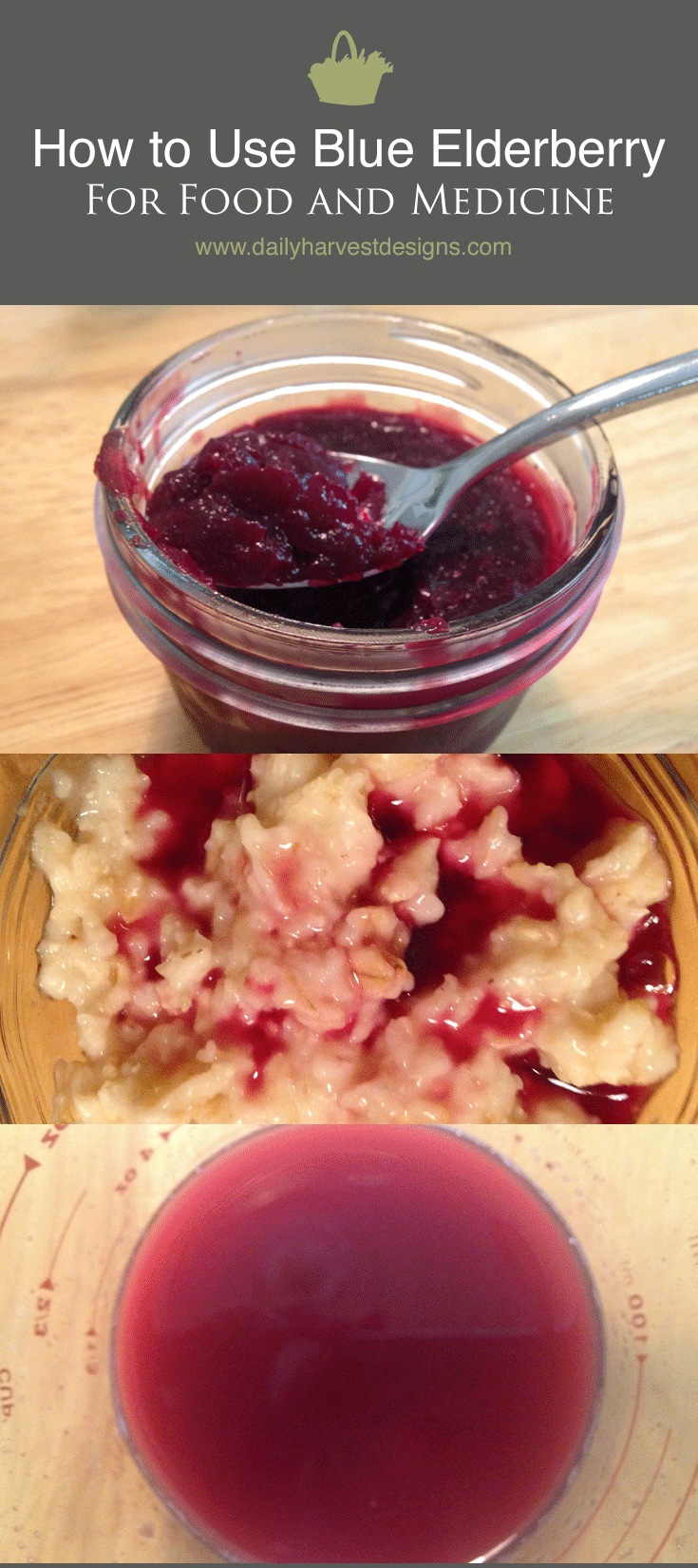 Blue Elderberries for Food and Medicine.png