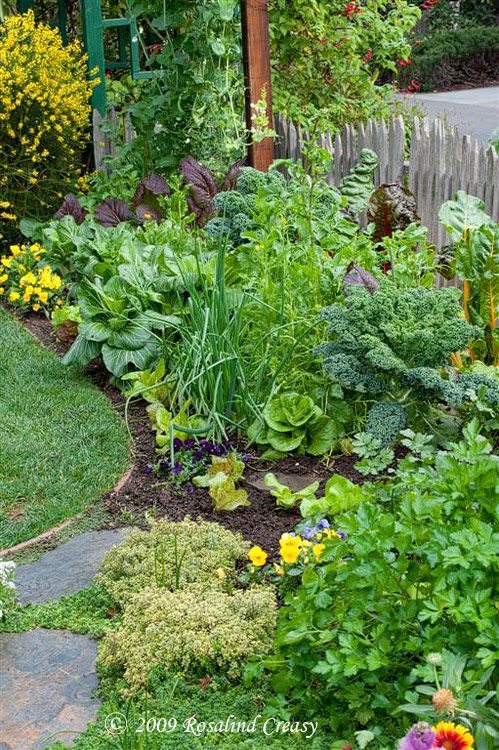 10 Examples Of Edible Gardens That Will, Edible Garden Design