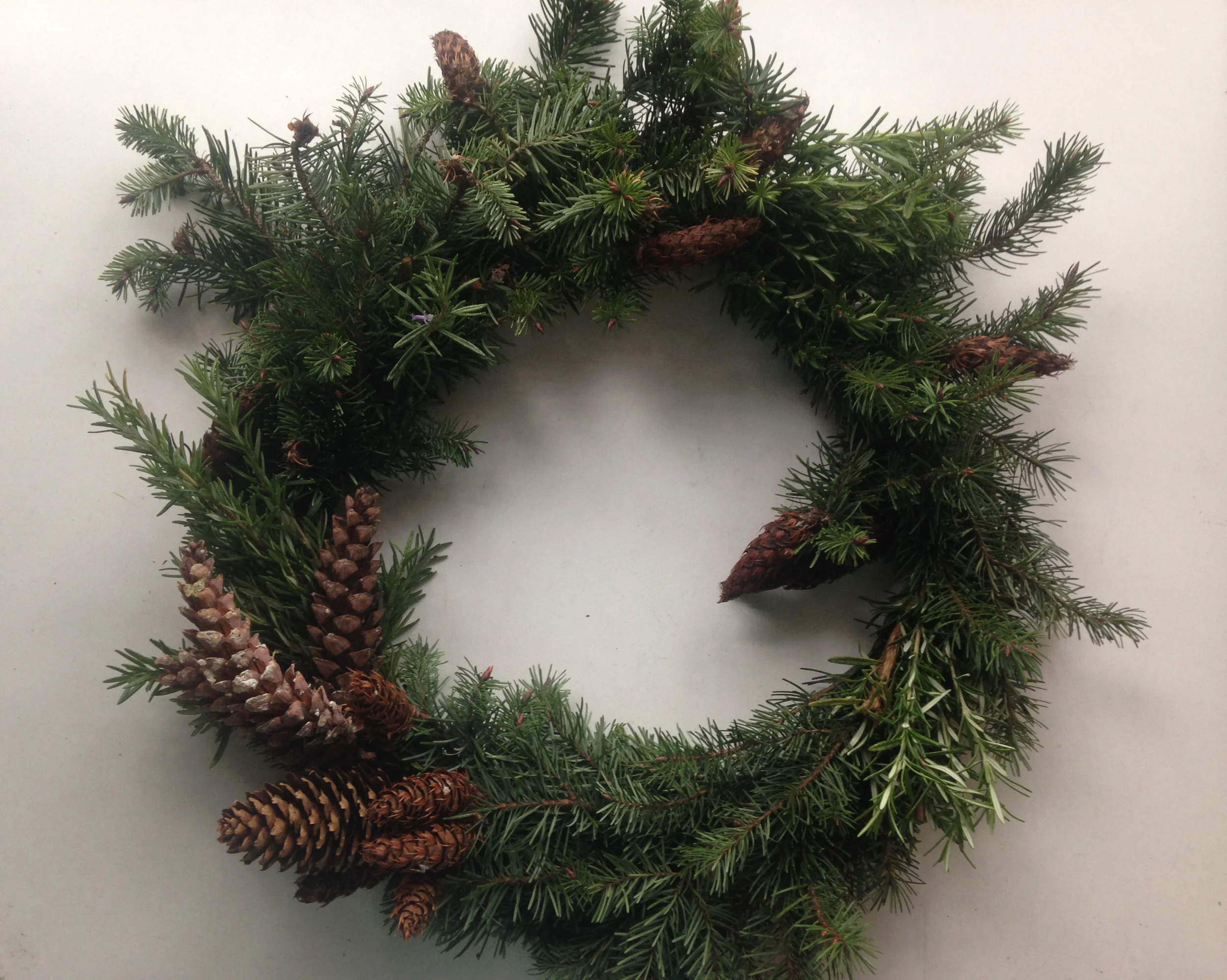 fall and winter garden projects.jpg