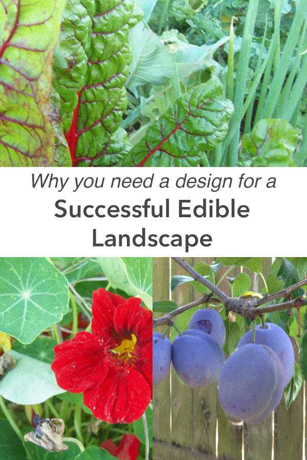 successful edible landscape design projects.png