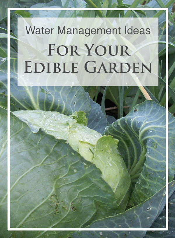garden-water-management.png