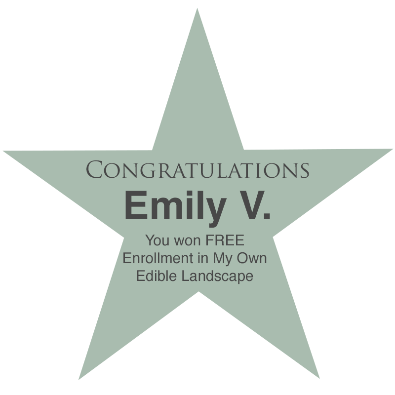 My Own Edible Landscape Winner_EmilyV.png