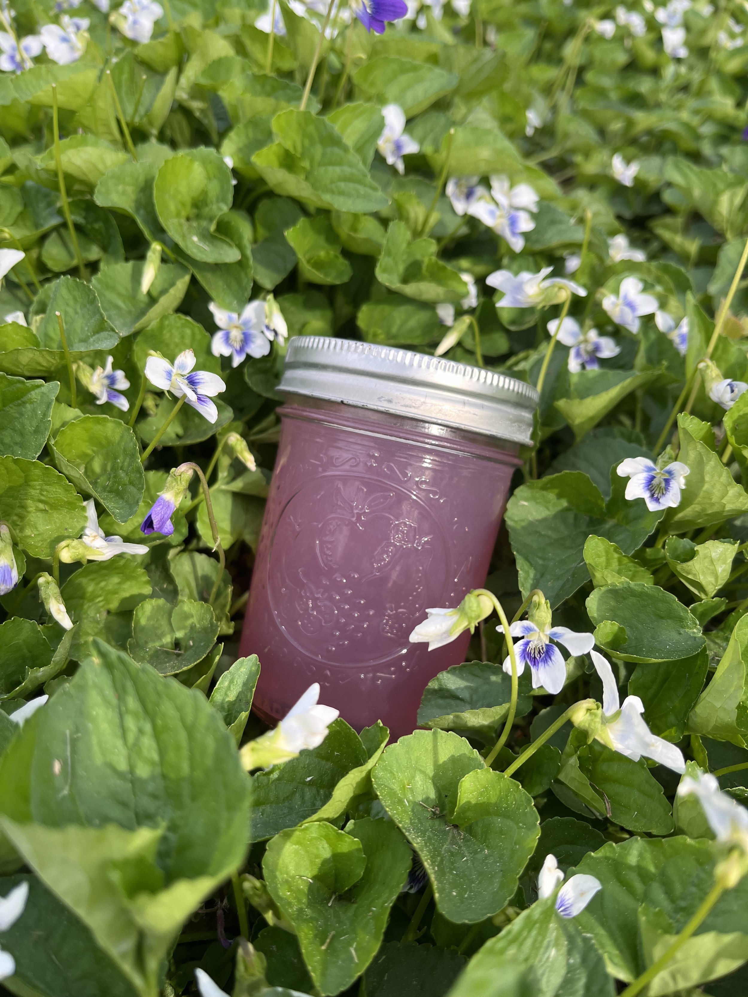 Five Food Preservation Techniques You Should Know About Daily Harvest five-food-preservation-techniques-you-should-know-about-daily-harvest