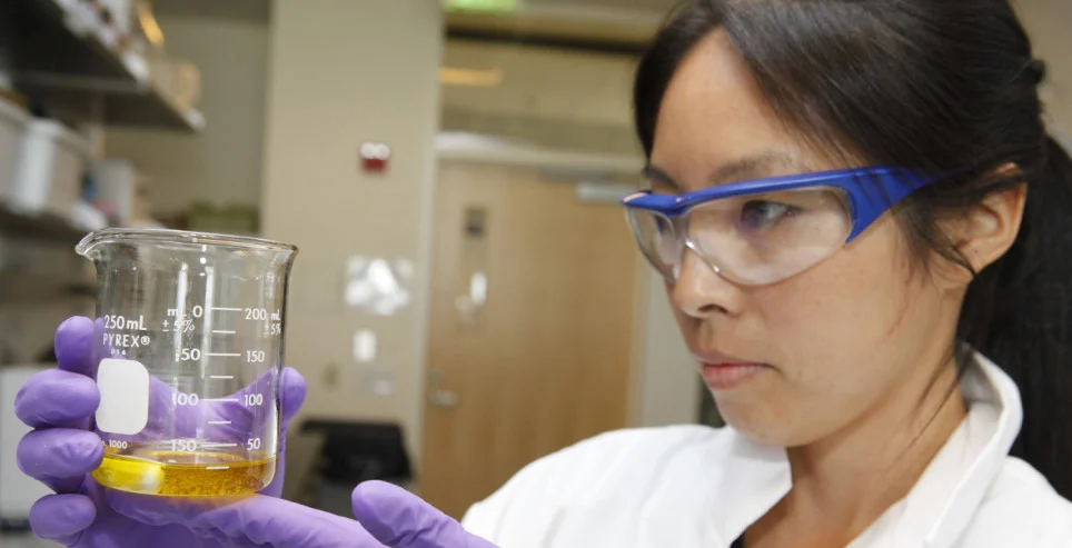 SELINA WANG • Assistant Adjunct Professor, Department of Food Science and Technology and Research Director, Olive Center of UC Davis