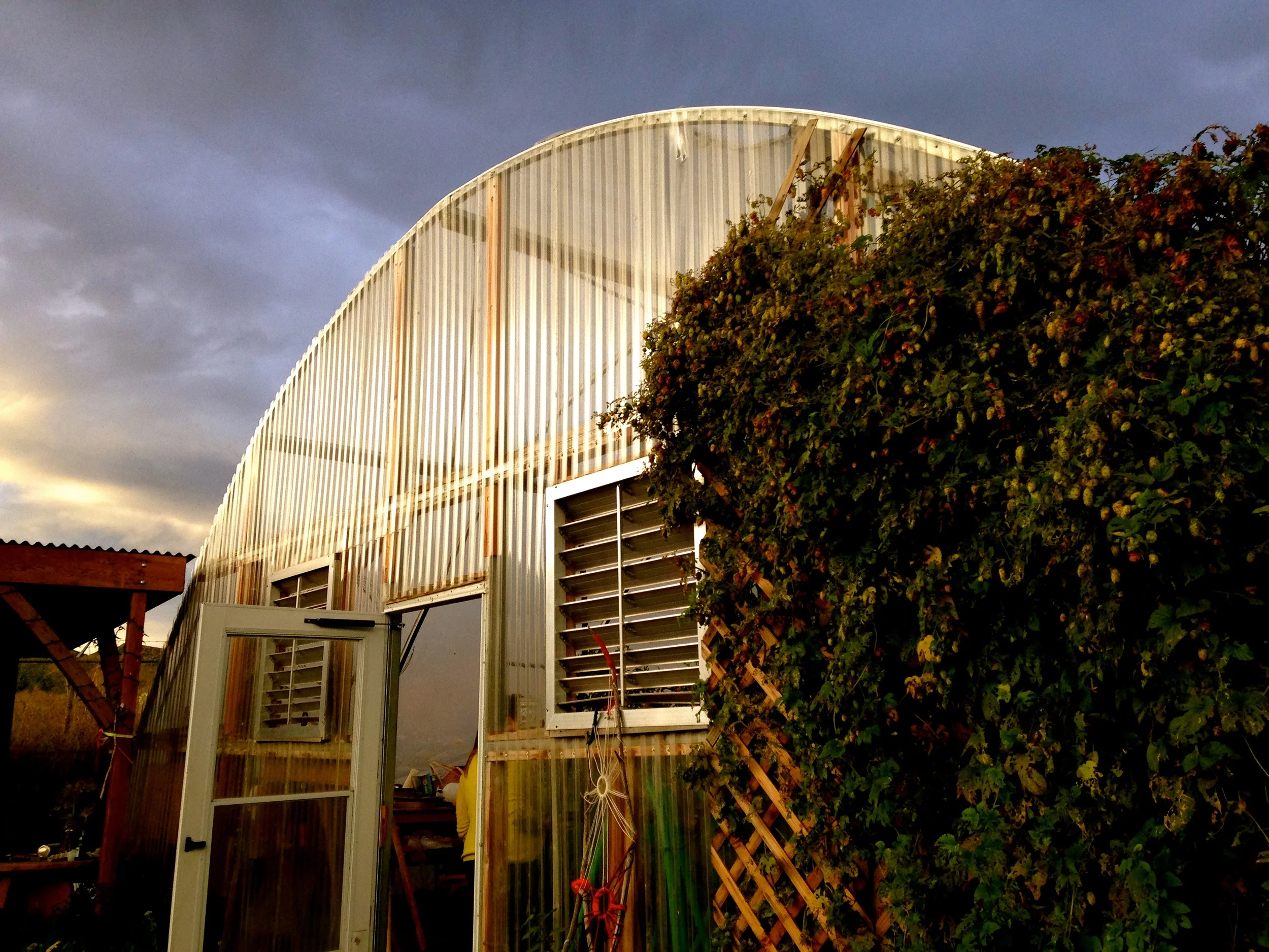 The greenhouse at the Lyons Farmette filled with cucumbers, tomatoes, and tons of other farm-fresh goodies.