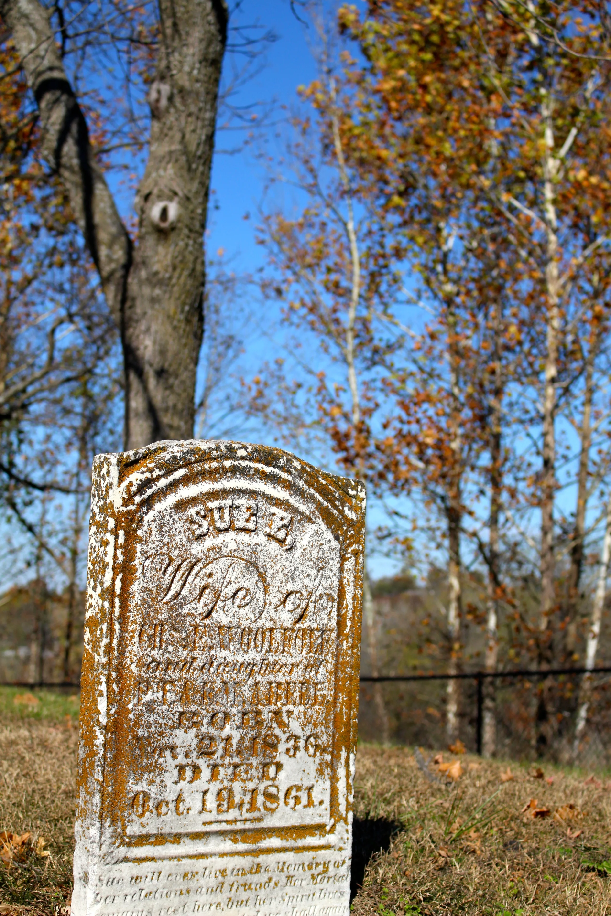 Weston, MO