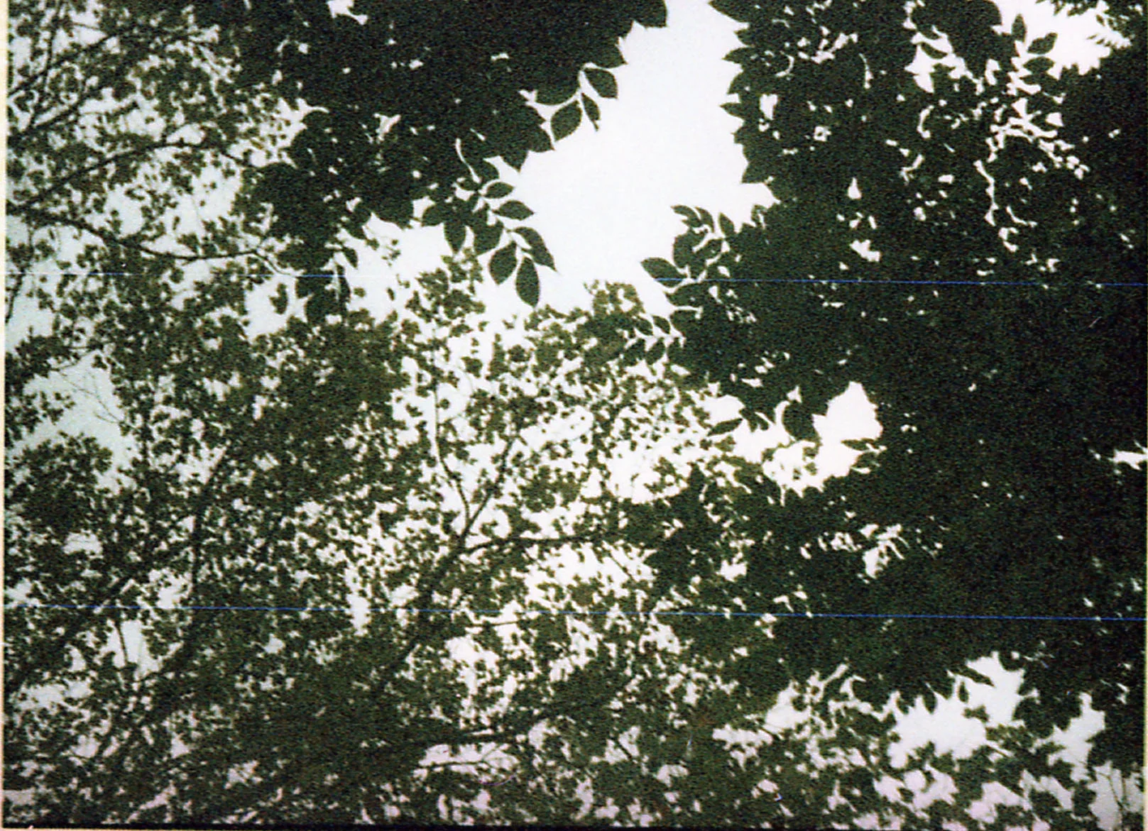 porrazzo255 2.jpg