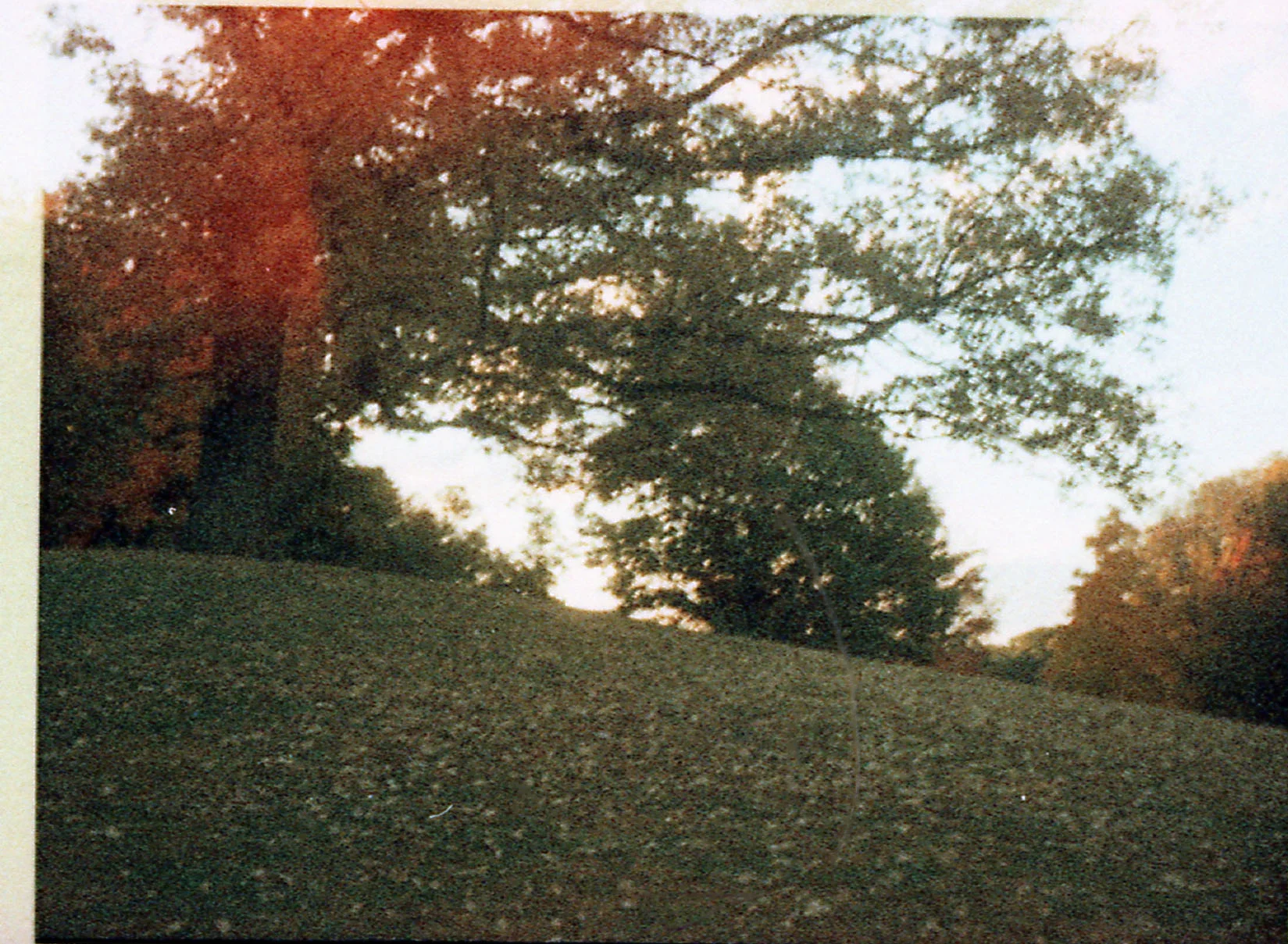 porrazzo238 2.jpg