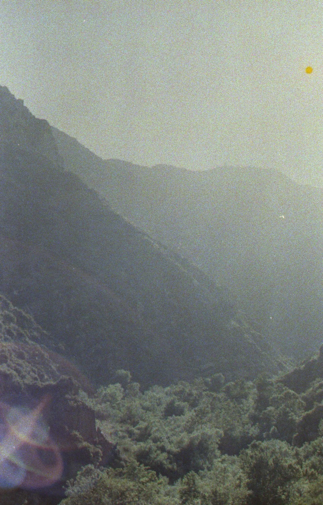 2expfuji1cal021.jpg