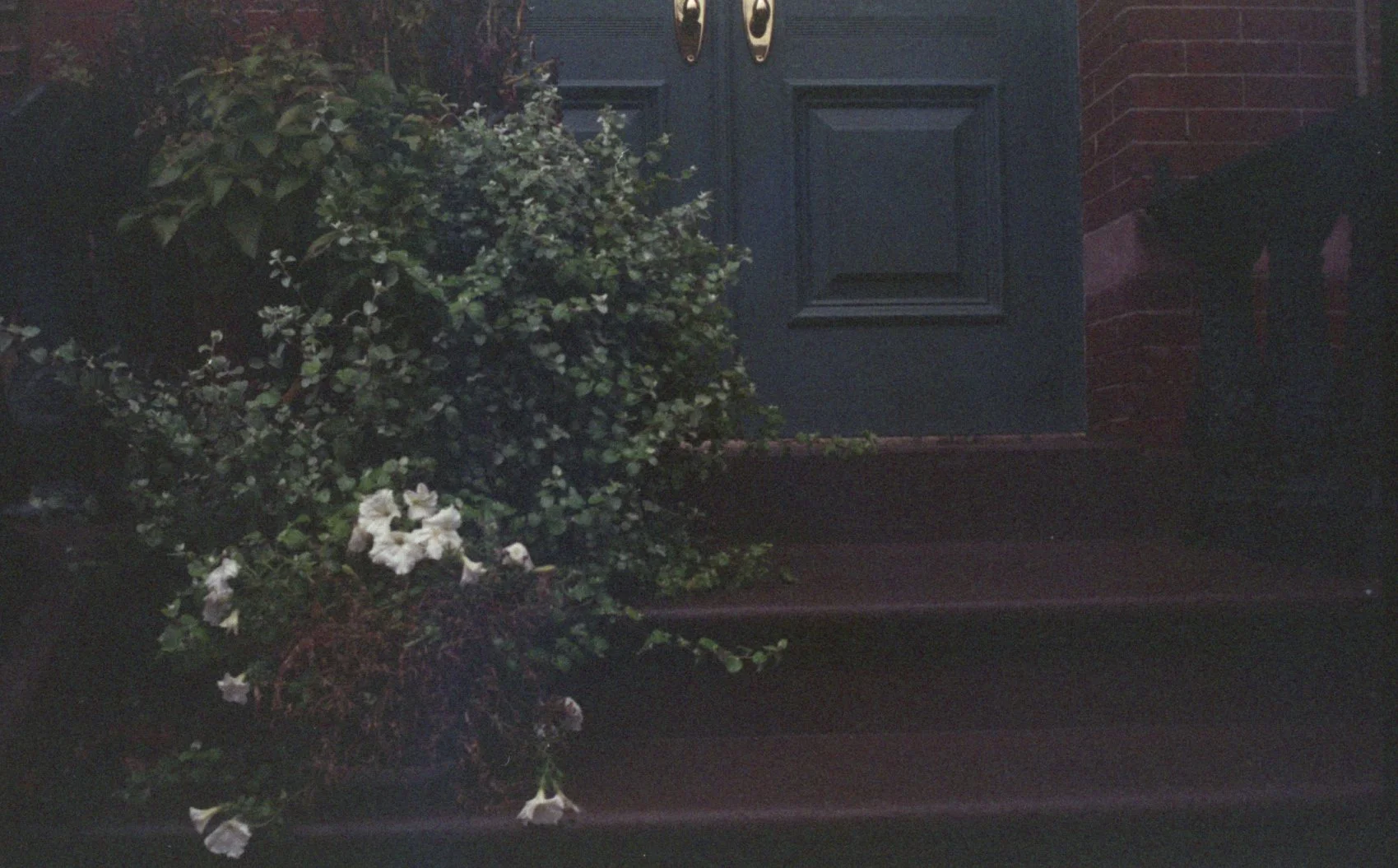 2expfuji6ny010.jpg