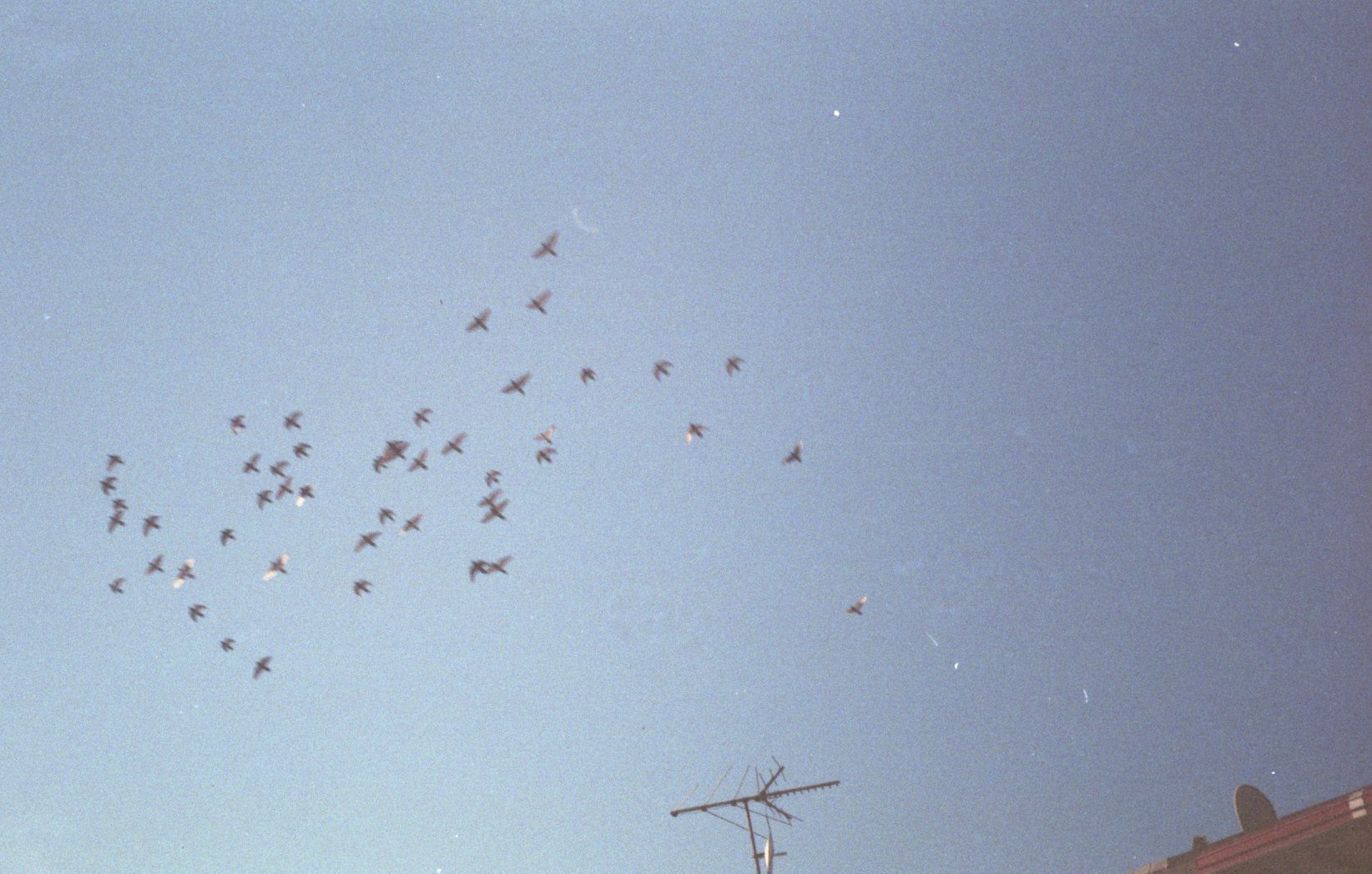 2expfuji9ny007.jpg