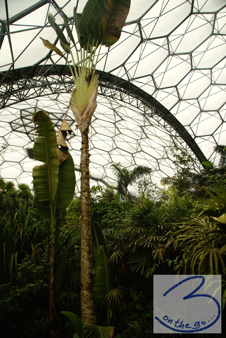 The Eden Project in Cornwall