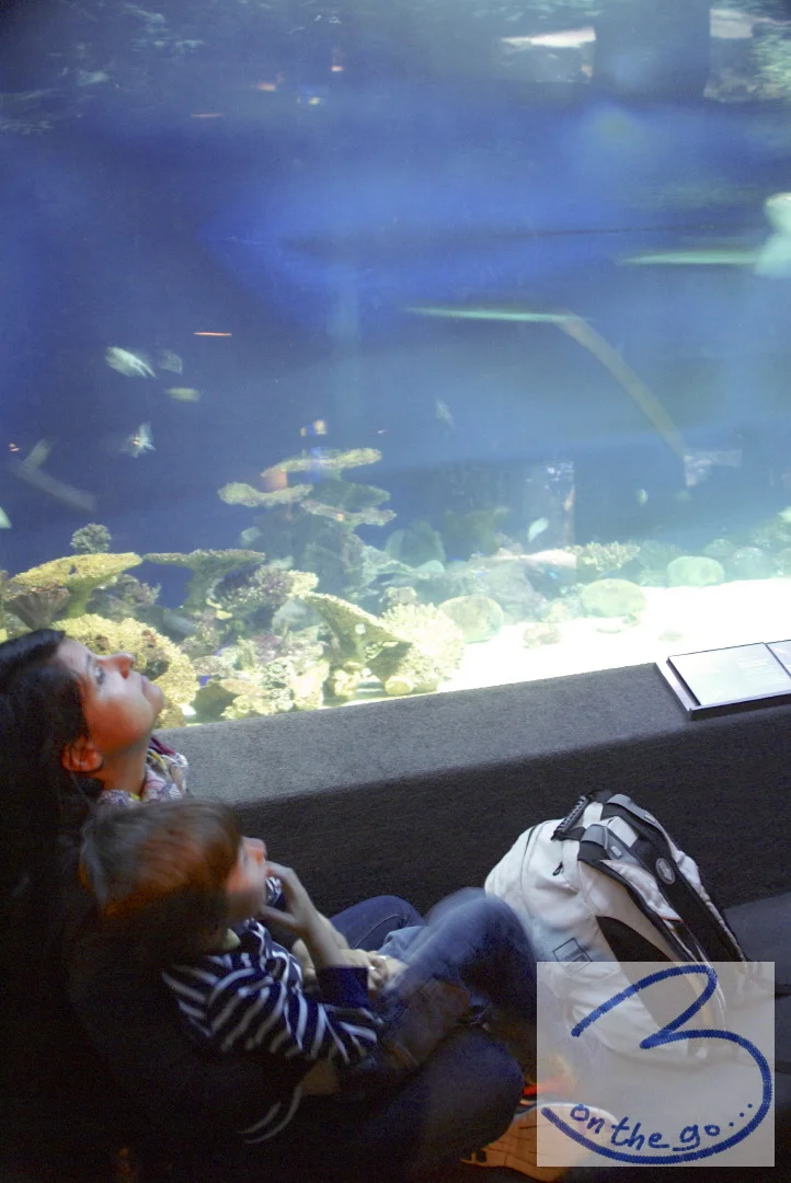 Vancouver Aquarium