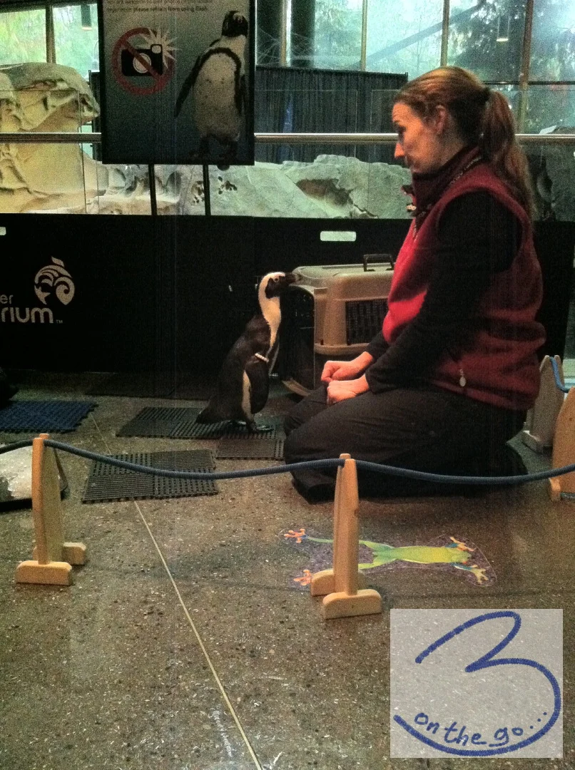 Vancouver Aquarium
