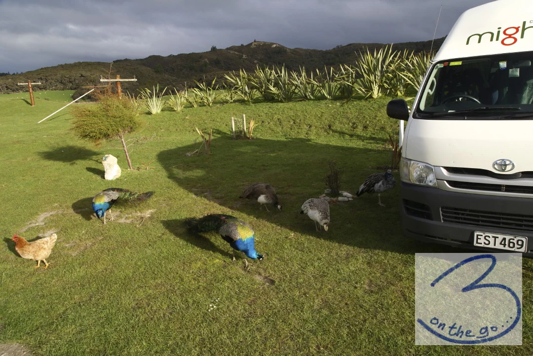 Visitors right outside our campervan
