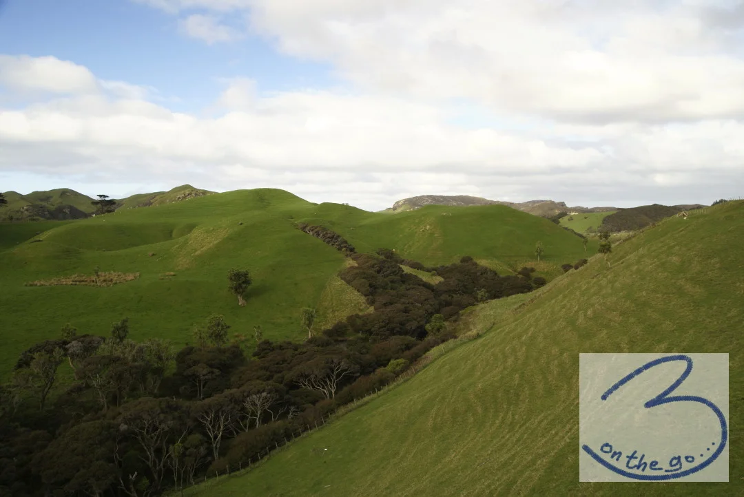 Near Cape Farewell