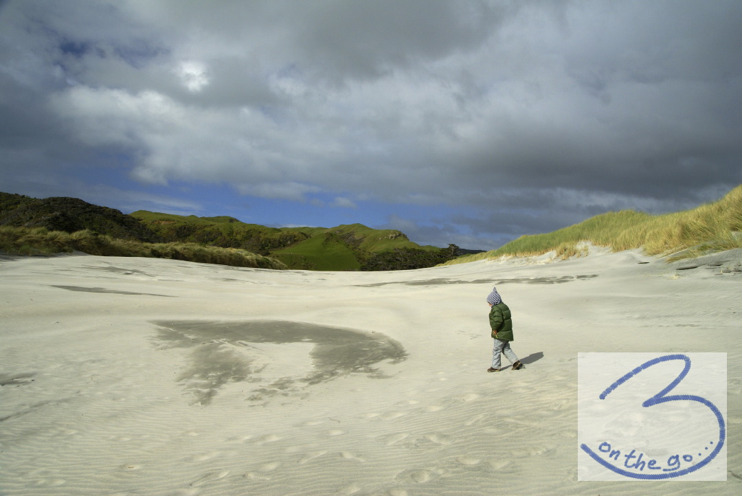 Near Cape Farewell
