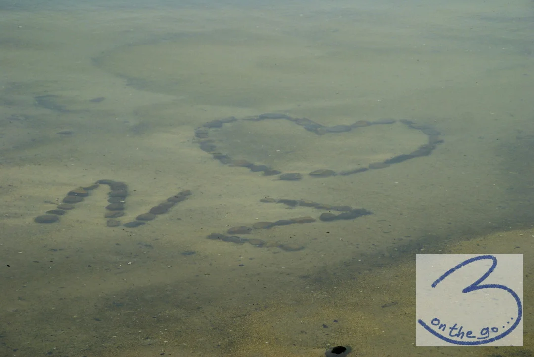We love NZ too!